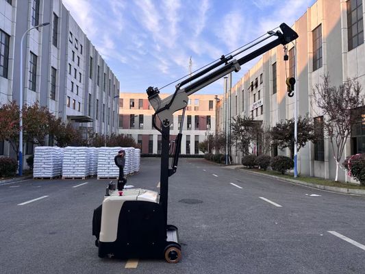 Non Standard Electric Mini Crane Arm Truck Rated Lifting Capacity 300 KG
