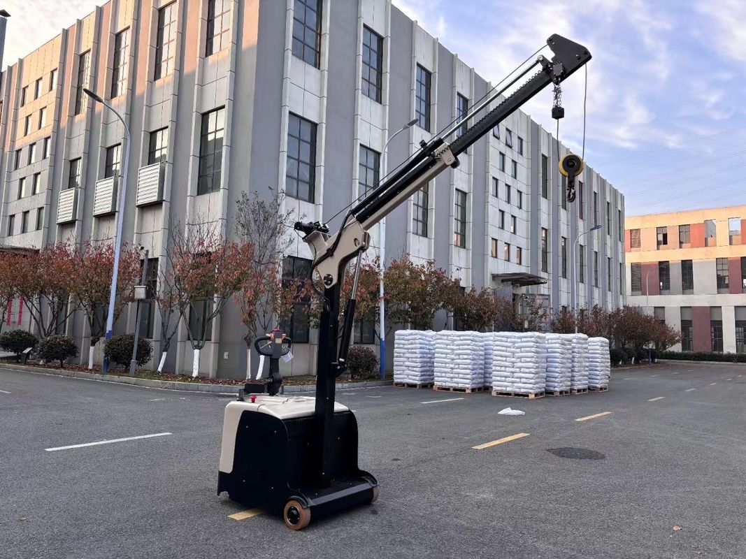 Non Standard Electric Mini Crane Arm Truck Rated Lifting Capacity 300 KG